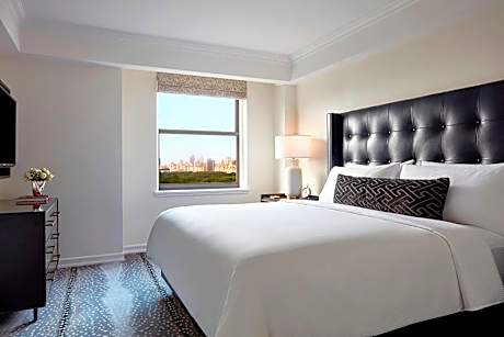 Central Park View One Bedroom Suite