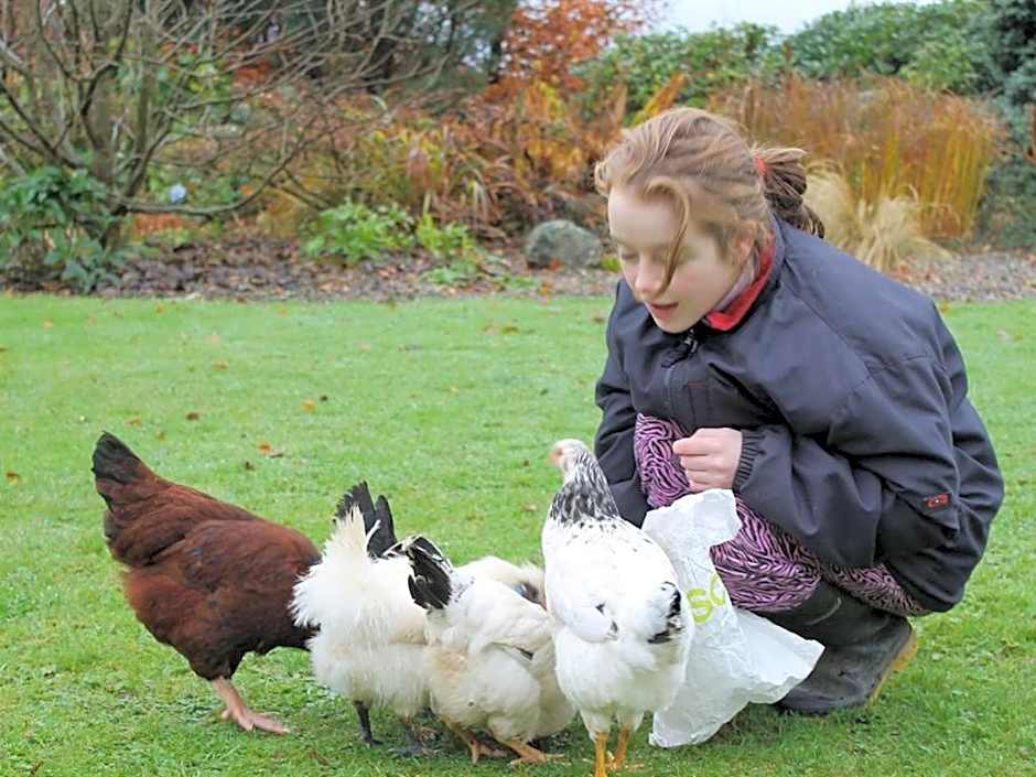 Blossom Hill Bed and Breakfast