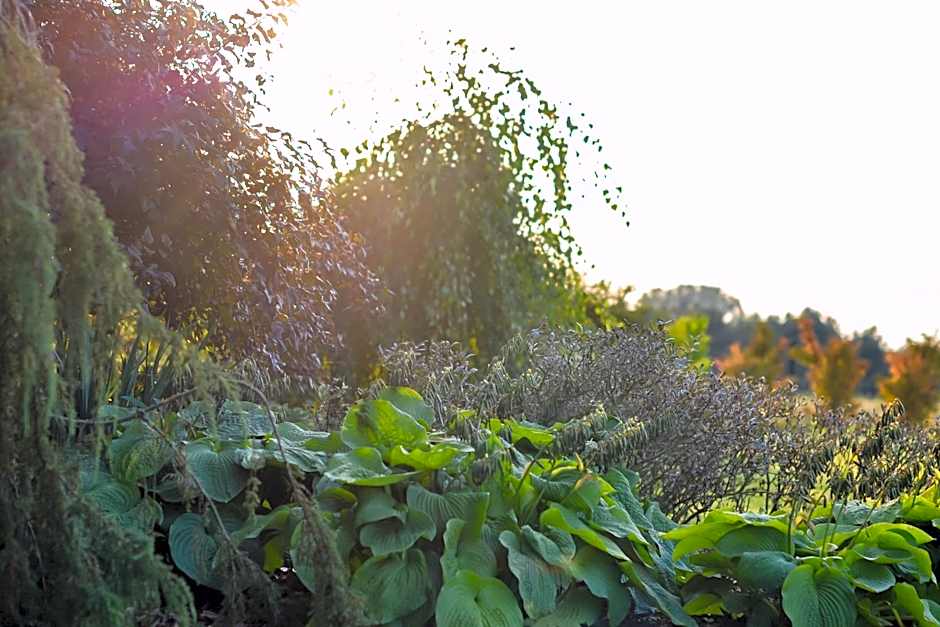 Eco Nieborów