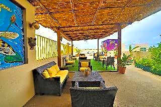 12 Bees Hotel