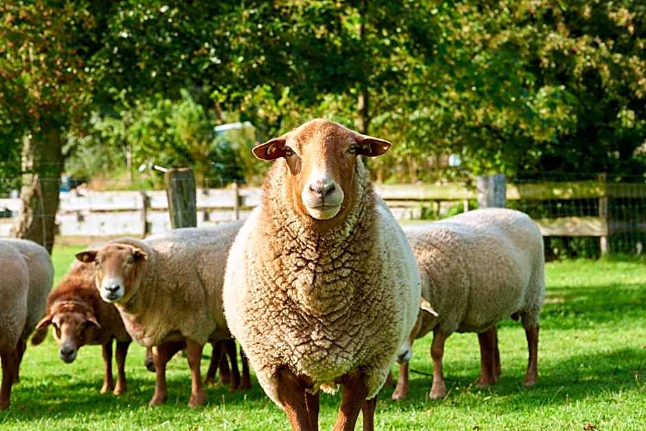 Room and kitchen im Katerberg