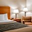 Comfort Inn Metro Airport Romulus