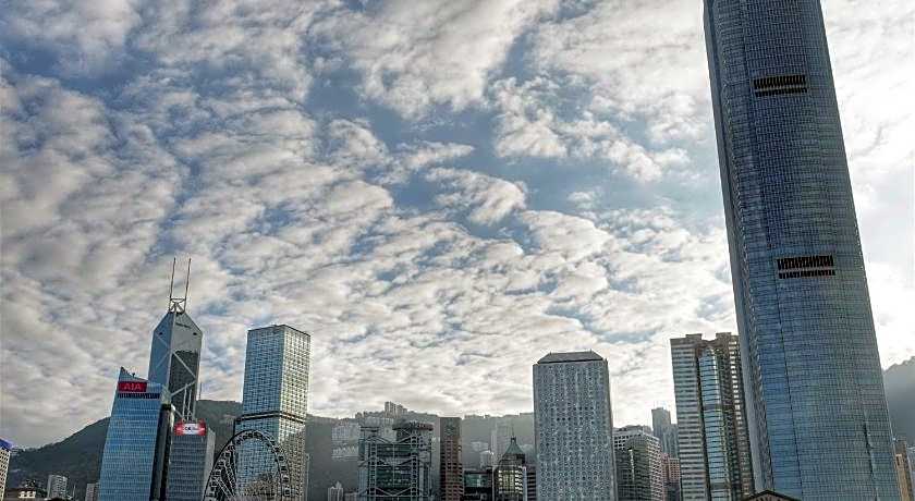Butterfly on Wellington, Central