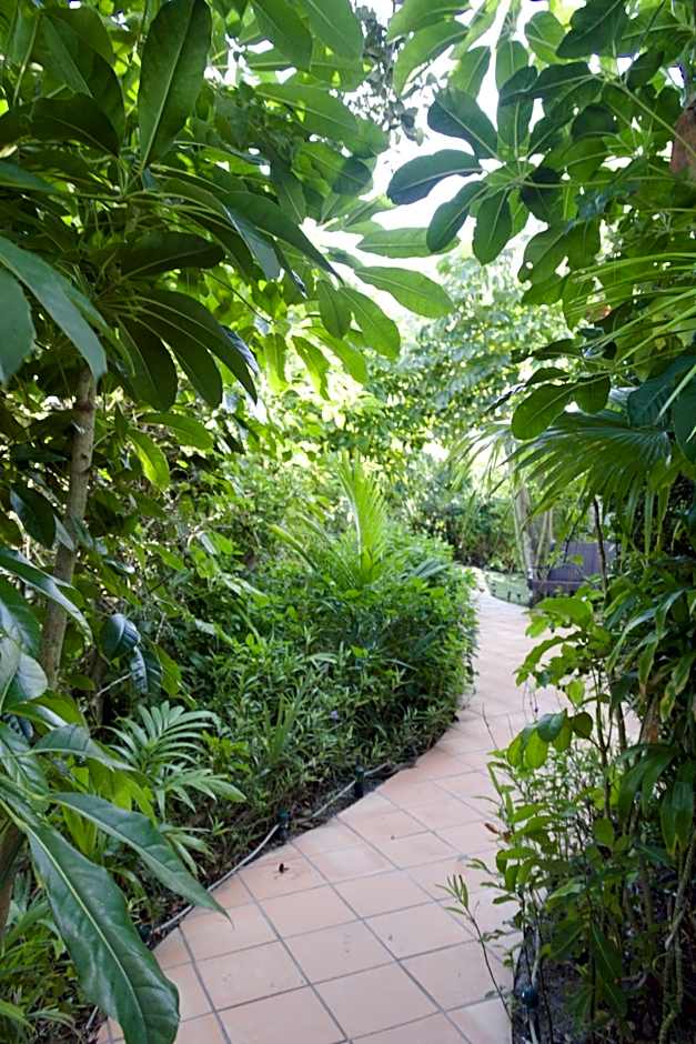 The Caribbean Court Boutique Hotel