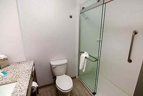 1 KING HEARING ACCESSIBLE ROOM