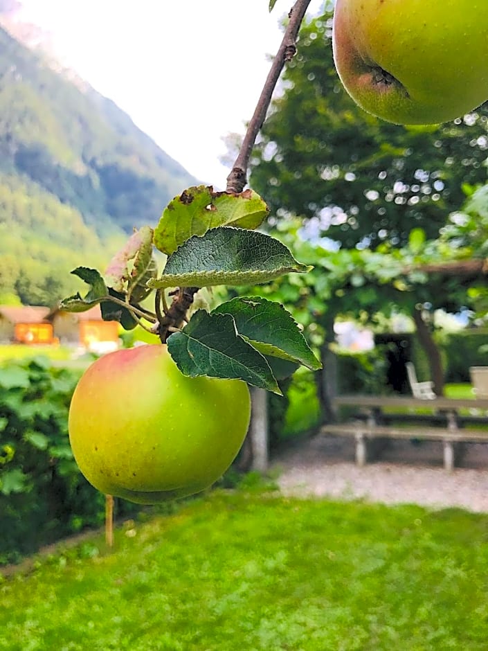 Lotus Oasis I Nature Experience