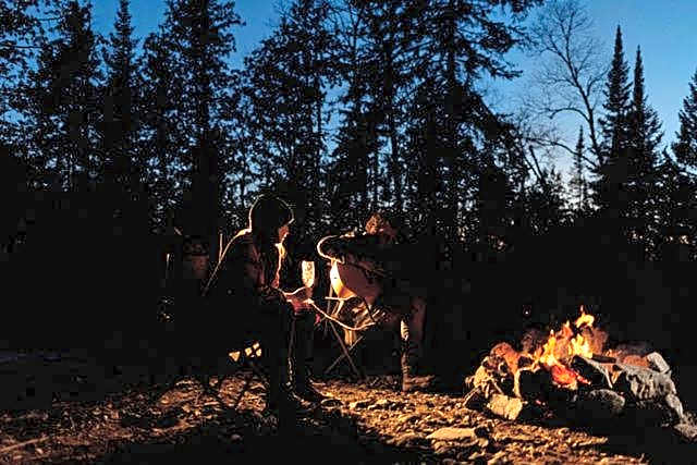 Entre Lemoine et l'arbre