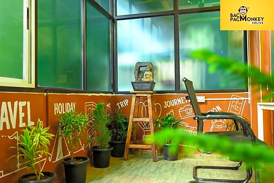 Bacpacmonkeycolive – Visakhapatnam, WI