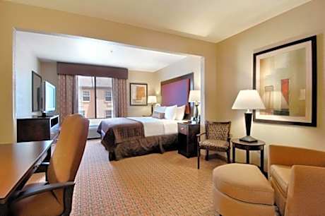 1 King Bed Accessible Suite Non-Smoking