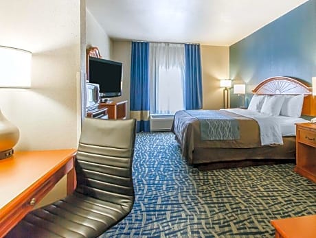 1 King Bed, Suite, Nonsmoking