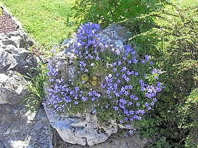 Bed & breakfast Villa Lisetta