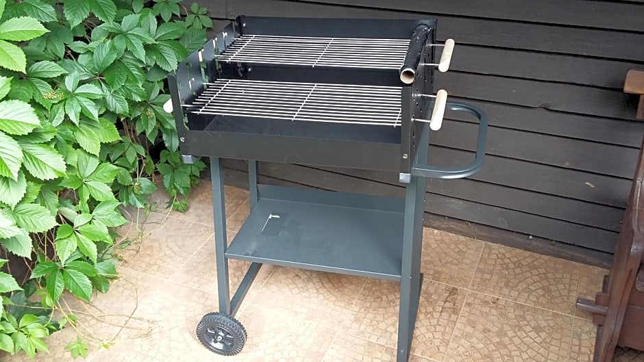 Dom letniskowy POŚRÓD KASZUBSKIEGO LASU