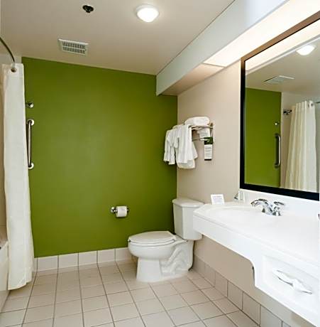 1 King Bed Suite Nonsmoking Accessible