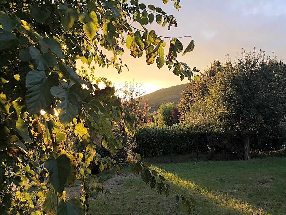Alba Morus Bed & Breakfast, sentiti a casa nel cuore della Toscana