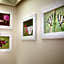 Art Hotel Museo