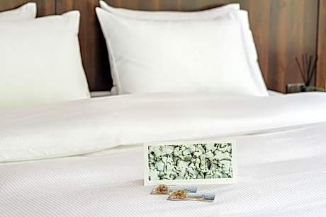 Standard Double Room with Spa Access