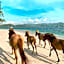 Gili Asahan Eco Lodge & Restaurant