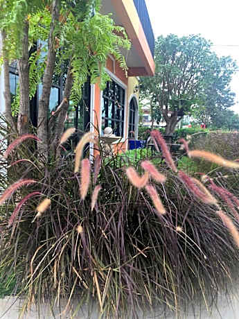Sata House Boutique Resort
