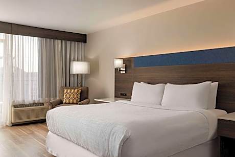 1 King Bed Balcony Non-Smoking