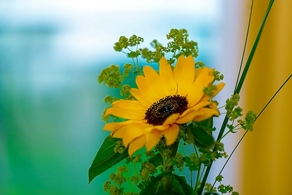 Hotel Restaurant Sokrates