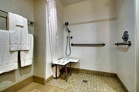 King Room - Disability Access Roll in Shower