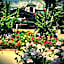 Seagull Hotel - All Inclusive