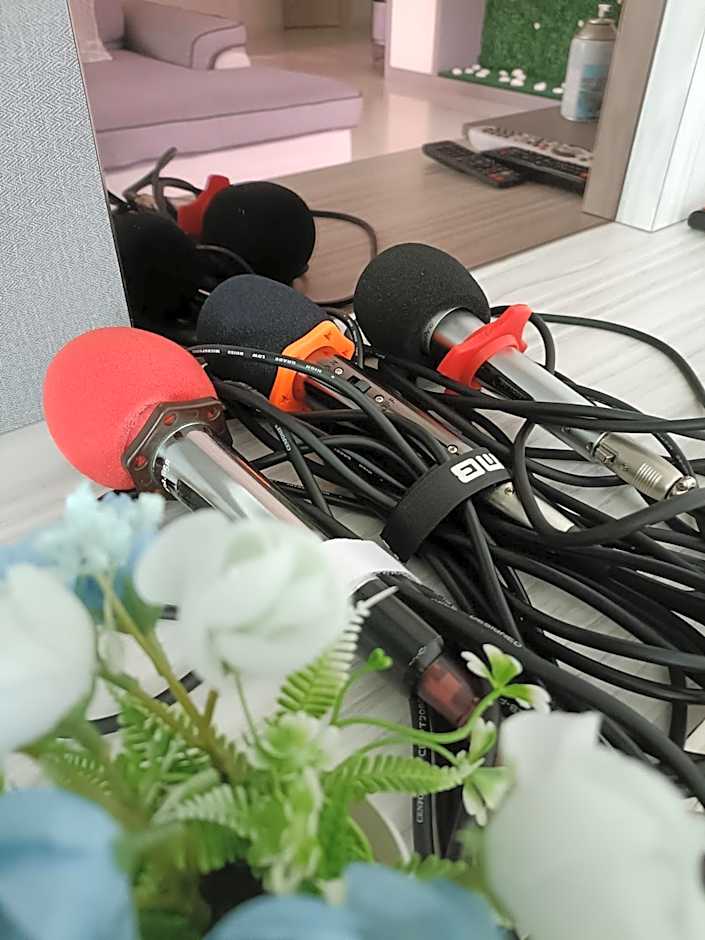 Melaka Homestay with pool 4BR Semi-D,BBQ,KTV,Billiard 15pax DeStarryVilla