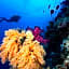 Club Paradisio El Gouna Red Sea