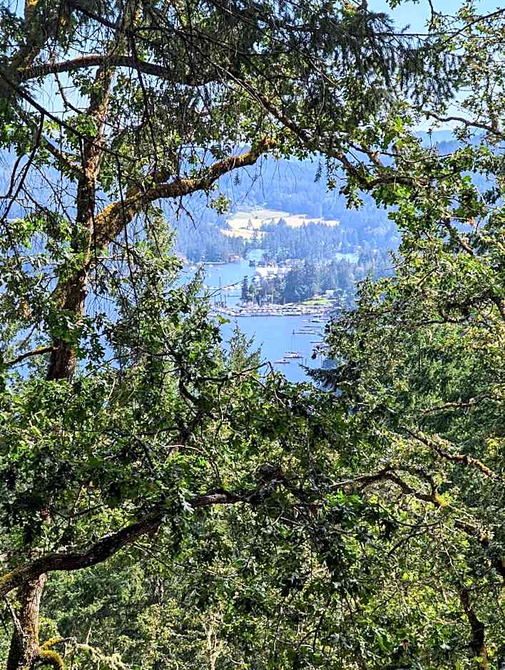 Maple Rise Guesthouse