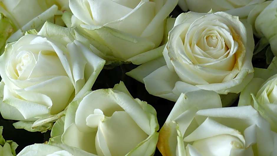 Restaurant und Hotel Zum Weissen Ross