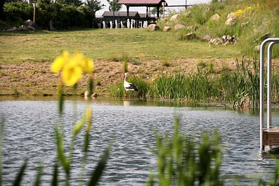 Kur-& Landhotel Borstel - Treff