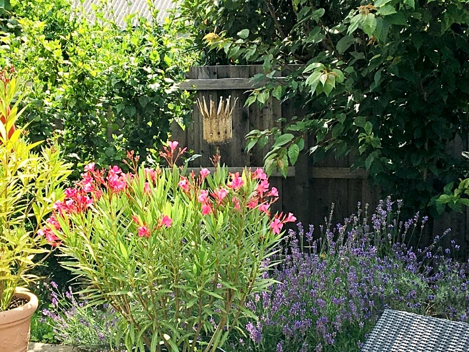 Bed & Breakfast Chez Lips