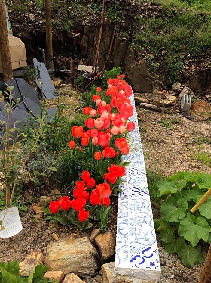 Guest Room Agro-turismo Quinta da Fonte Bed&Breakfast