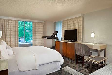 Room, 1 King Bed