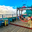 ITH Beach Bungalow Surf Hostel San Diego Adults Only