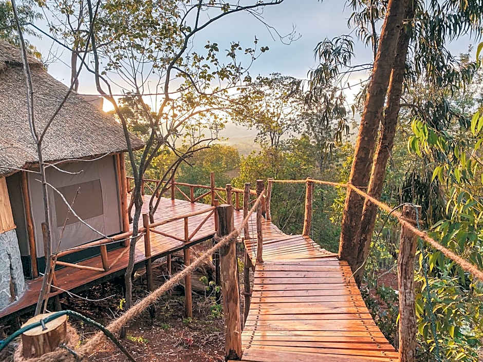 Foresight Eco Lodge & Safari