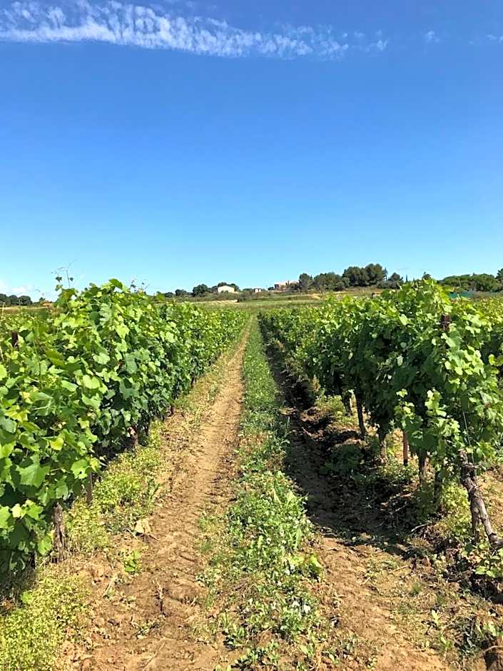 Domaine de Peilhan