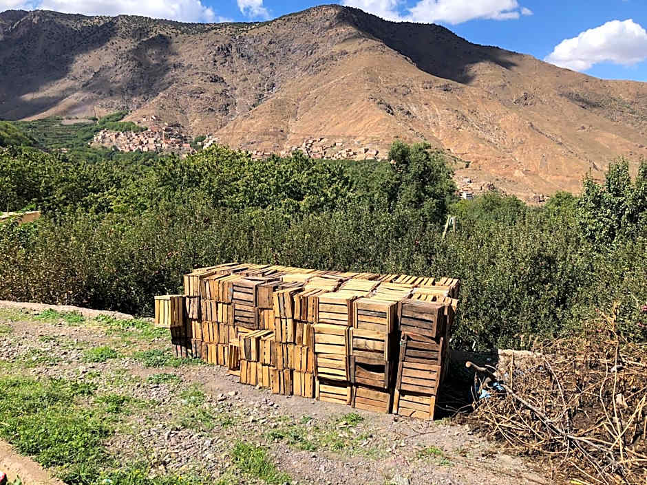 Riad Atlas 4 Seasons