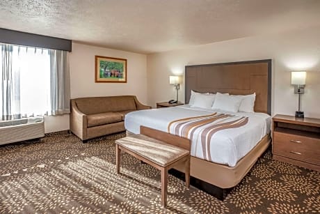 1 King Bed Deluxe Suite Non-Smoking