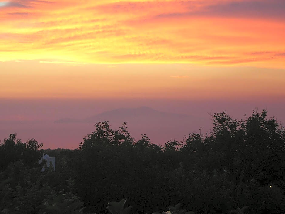 Hotel Al Mulino - Mediterranean Garden Retreat in AnaCapri