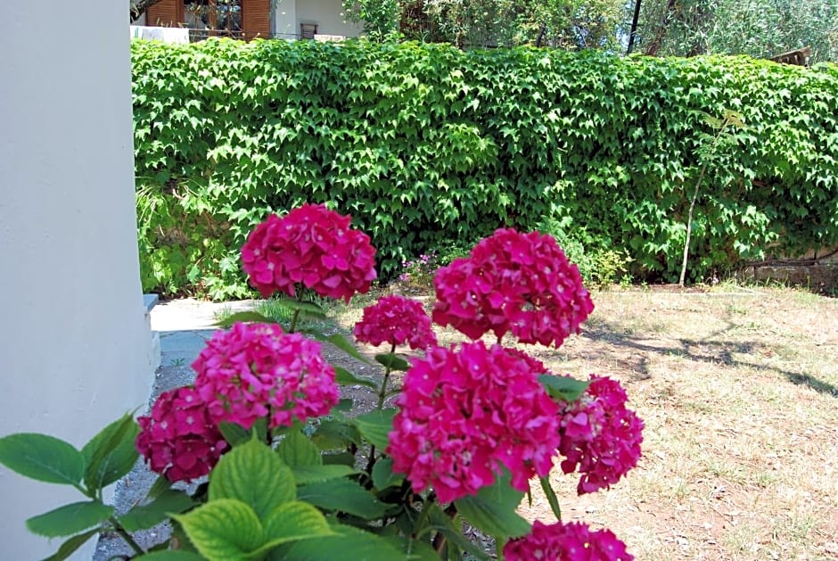 Studios Estrella del mar