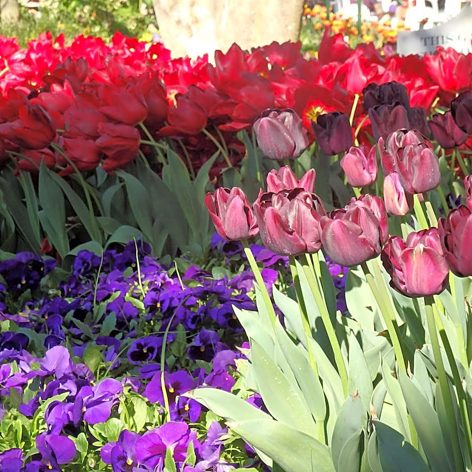 Bowral Road Art Gallery Bed and Breakfast