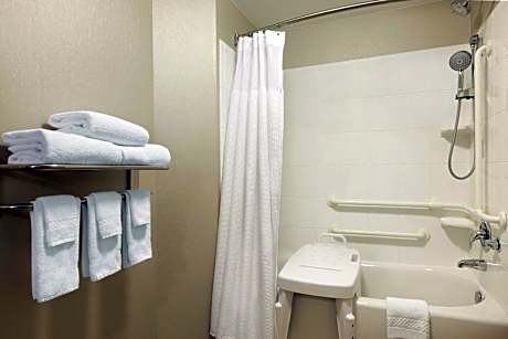 Two Double Bed Studio