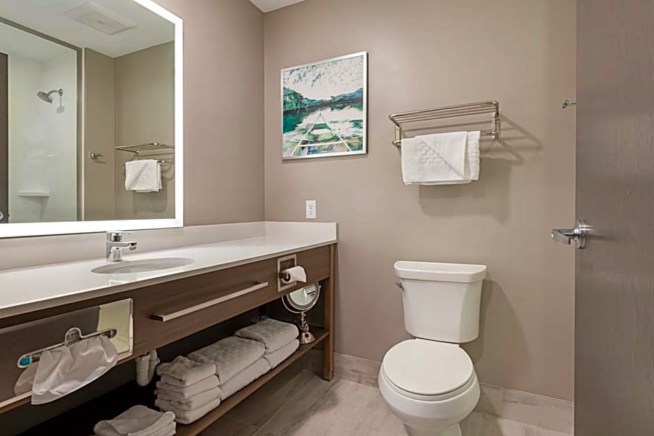 Best Western Plus Grand Rapids MN