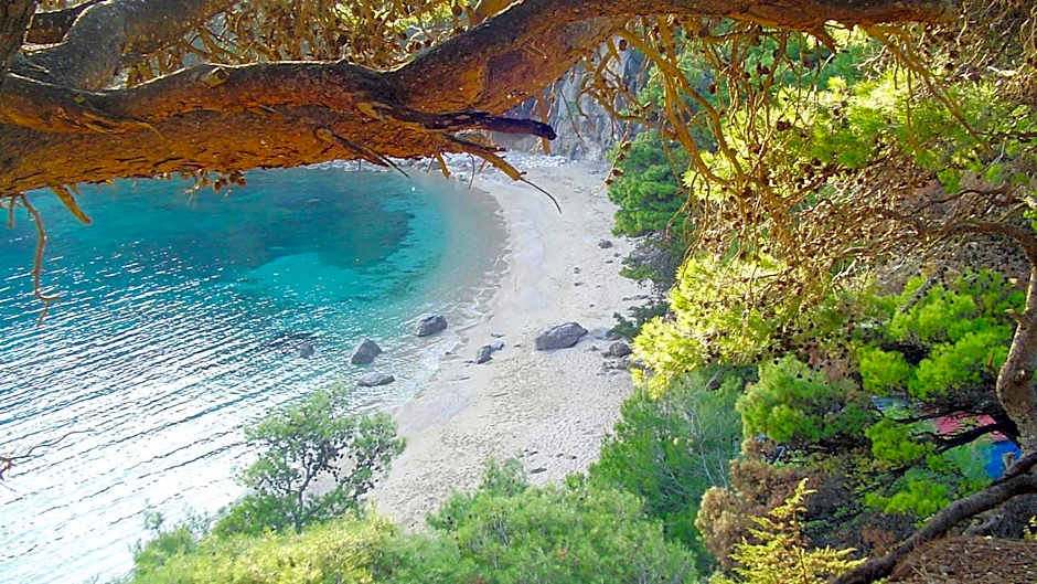 Michelangelo suites and apartments