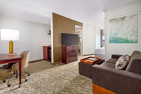 Executive Suite, 2 Double, Sofa bed