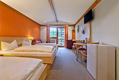 Double Room with Mountain View and shared Balcony