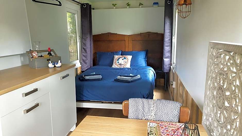 Pipowagen Bed bij Bos