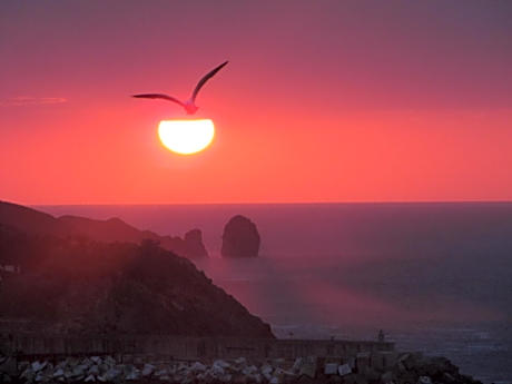 Queen Room with Two Queen Beds - Disability Access