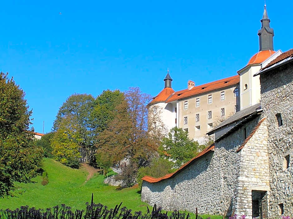 Turizem Loka Bed and Breakfast